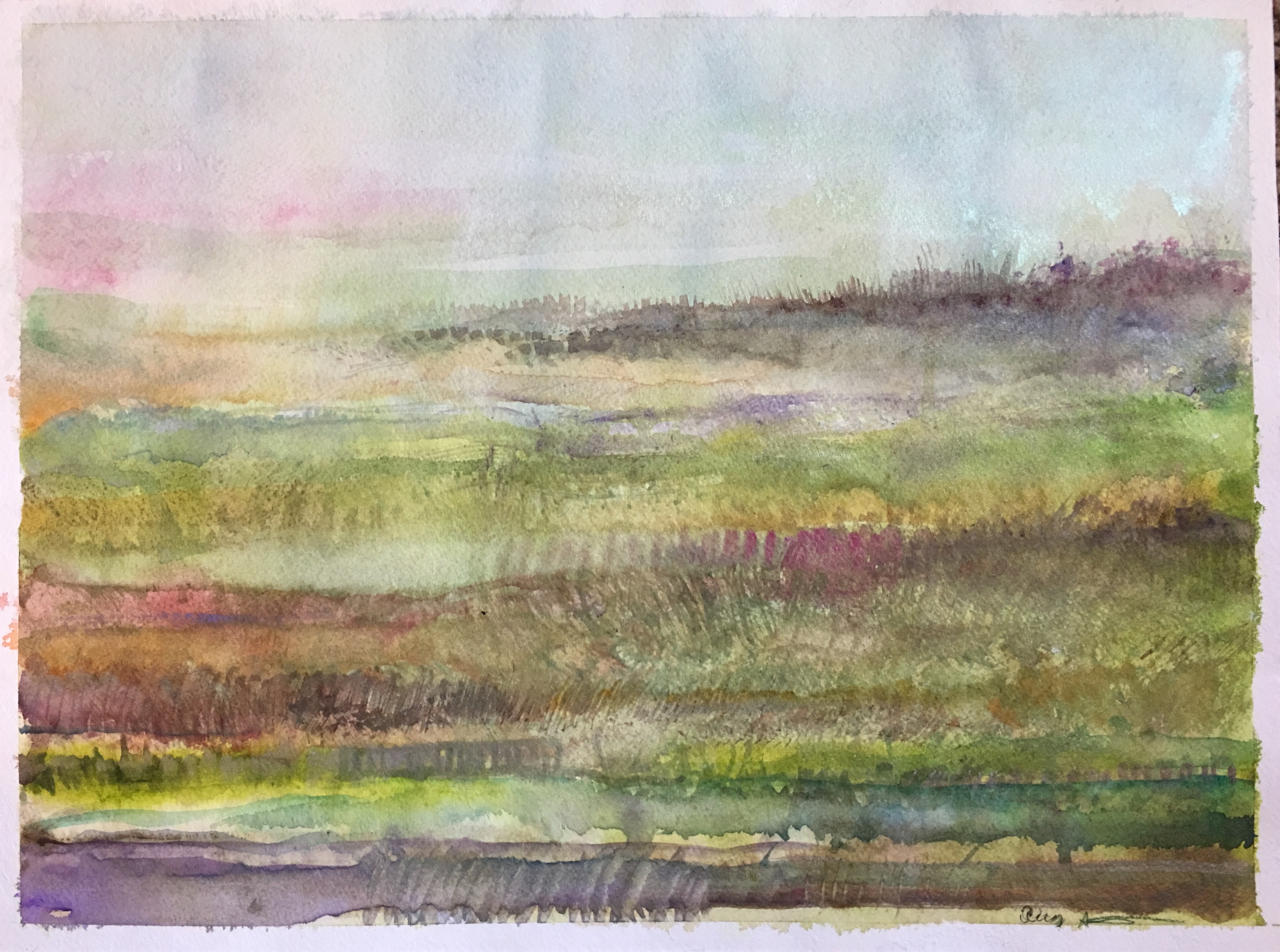 Springrows by Ann Stretton